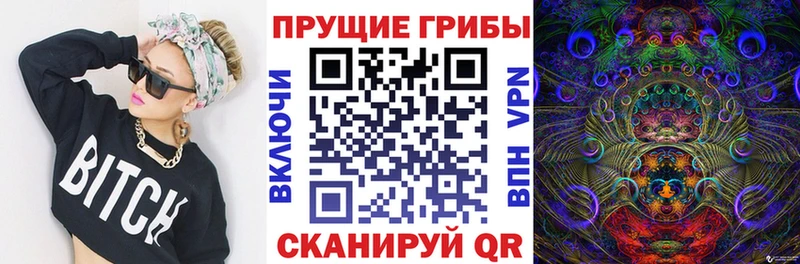 Псилоцибиновые грибы прущие грибы  даркнет сайт  Малмыж 